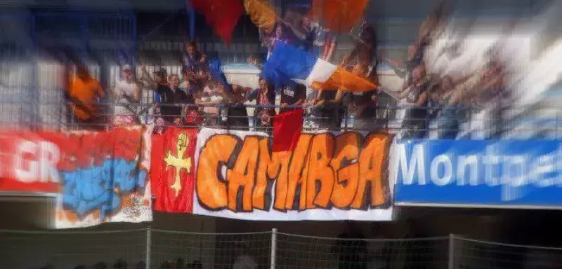 Supporter montpelliérain, Narpe avait envahi la pelouse, samedi soir, avant d'être amené dans une salle du stade de la Mosson, à huis-clos. (DR) Supporter montpelliérain, Narpe avait envahi la pelouse, samedi soir, avant d'être amené dans une salle du stade de la Mosson, à huis-clos. (DR)