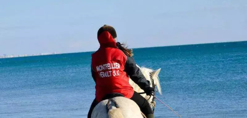 Depuis la rencontre face à Schalke, les supporters du MHSC sont très déçus de ne pas avoir eu droit,une fois de plus, à un tour d'honneur des joueurs montpelliérains. (DR) Depuis la rencontre face à Schalke, les supporters du MHSC sont très déçus de ne pas avoir eu droit,une fois de plus, à un tour d'honneur des joueurs montpelliérains. (DR)