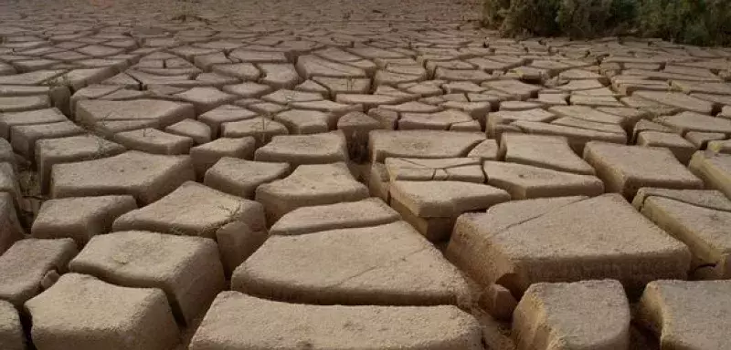 La sécheresse a atteint un seuil alarmant (DR archives)