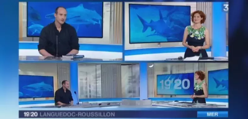 Membre du Groupe de Recherche sur les Requins de Méditerranée, Nicolas Ziani sur le plateau du 19-20, le JT de France 3 Languedoc-Roussillon, ce jeudi 7 mai. (Capture d'écran)