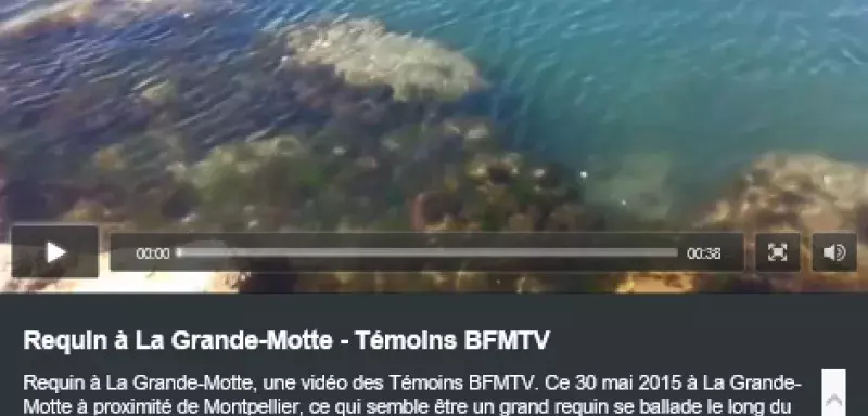 Après plus de 20 appels téléphoniques et 6 mails, Clément Jean n'est toujours pas reconnu par BFMTV en tant que l'auteur de cette vidéo présentée comme filmée  par l'un de ses témoins, il y a six jours seulement, à la Grande-Motte, près de Montpellier. (Capture d'écran/BFMTV)