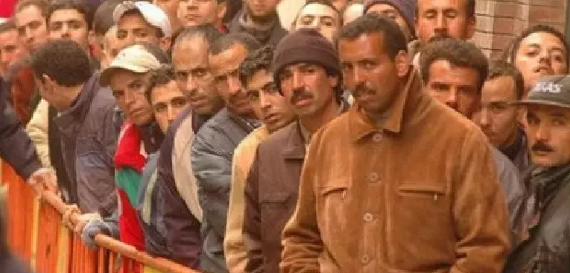 Les jeunes marocains ont baissé les bras face à la "fatalité" du chômage... (DR)