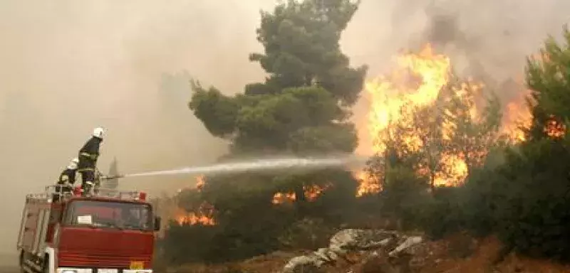 Les autorités ont annoncé que 35 feux de forêt s'étaient déclarés ce week-end à travers le pays (DR)