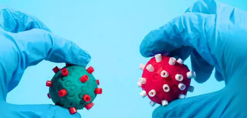 Flurona : Infecté à la fois par le Covid-19 et la grippe 