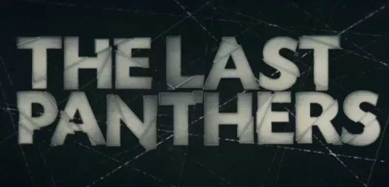 "Last Panthers", la nouvelle coproduction européenne de Canal+ met en lumière le nouveau visage du crime contemporain.