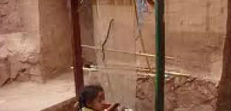 Le Maroc dans l'horreur du travail des enfants.