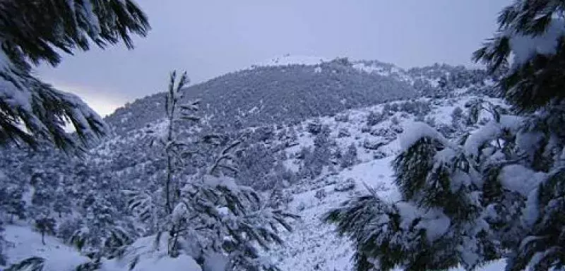 De nombreux villages isolés par le neige en Kabylie. (DR)