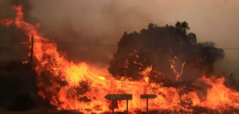 Des milliers d’hectares de végétation ont été dévorés par le feu à travers tout le pays (DR)