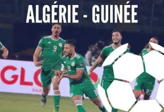 Algérie - Guinée  disputé le 07/07/2019