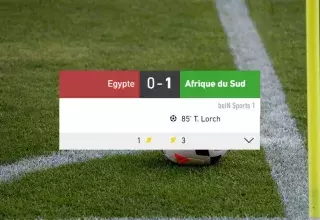 Résumé de la rencontre entre l'Egypte et l'Afrique du sud lors des huitièmes de finale de la CAN 2019
