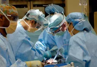 Immense avancée dans le monde médical : la transplantation d’un œil entier