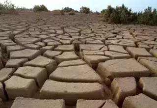 La sécheresse a atteint un seuil alarmant (DR archives)