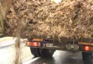 Un camion benne a déversé 12 tonnes de fumier devant la préfecture gardoise.