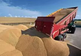 Algérie: les importations de blé grimpent de 14,45% en moins d'un an