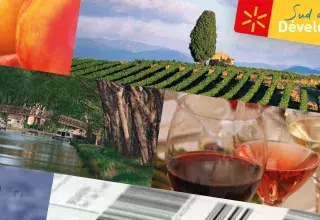 Avec la marque Sud De France, les vins du Languedoc-Roussillon sont le 1er vignoble représenté dans les linéaires de la grande distribution française. (© Sud de France) 