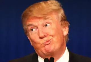 Donald Trump, homme d’affaires à la réputation sulfureuse, jamais élu, est devenu le 45e président des États-Unis... (DR)