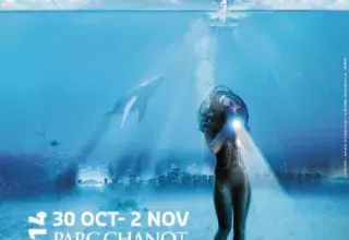 Marseille du 30 Octobre au 2 Novembre 2014: le Festival mondial de l'image sous-marine