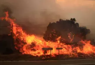 Des milliers d’hectares de végétation ont été dévorés par le feu à travers tout le pays (DR)