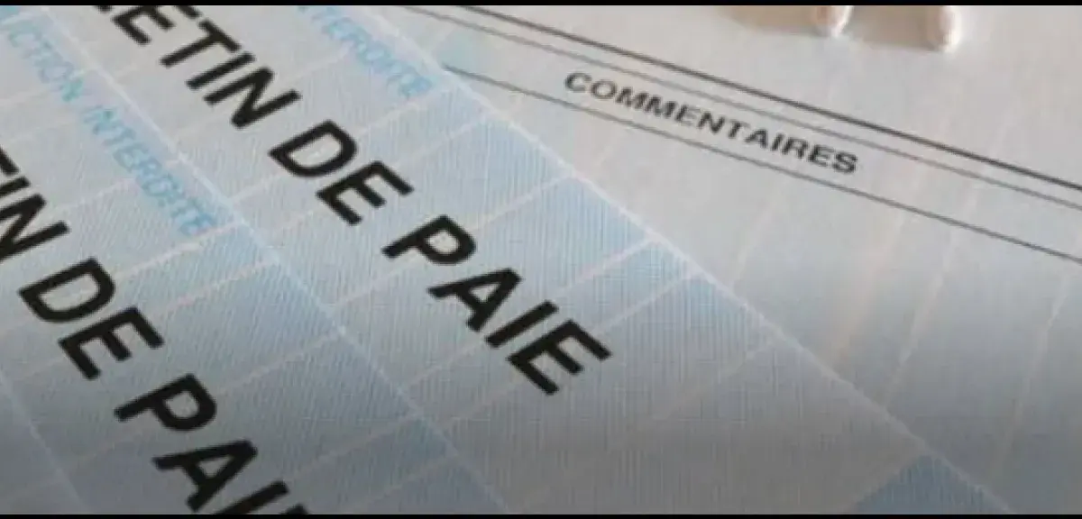 Illustration pour l article: Pourquoi vous avez intérêt à regarder votre feuille de paie de janvier