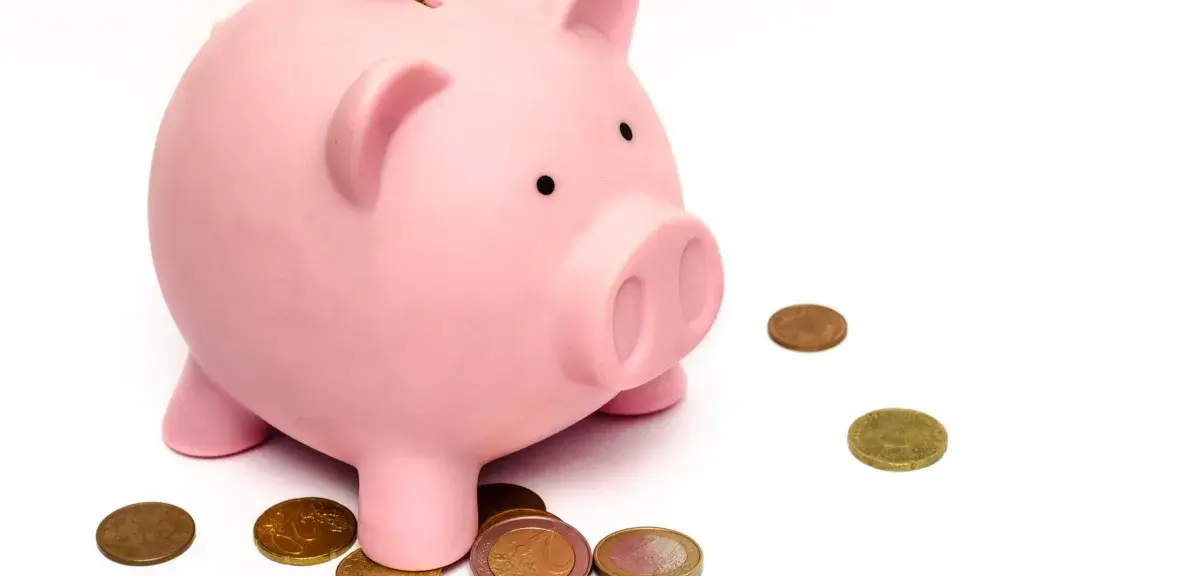 Tirelire rose entourée de pièces en euros
