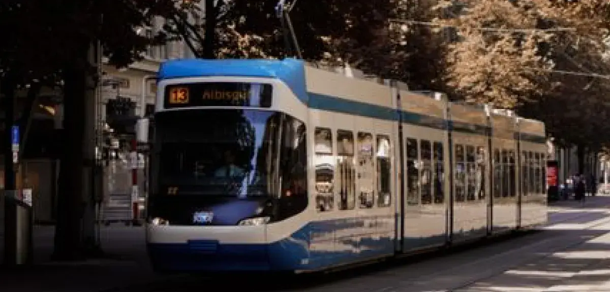 Un tramway moderne circule dans une rue bordée d'arbres