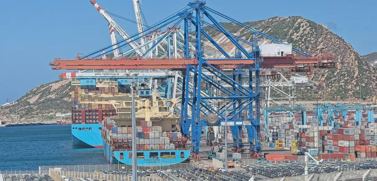 Porte-conteneurs et portiques de manutention dans le port de Tanger Med