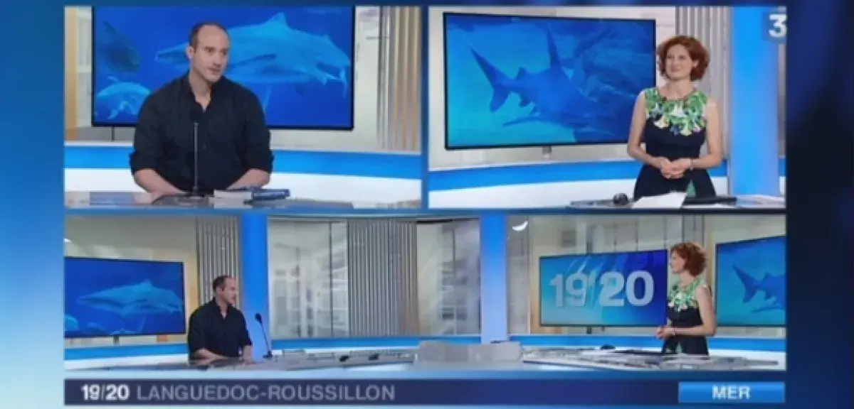 Membre du Groupe de Recherche sur les Requins de Méditerranée, Nicolas Ziani sur le plateau du 19-20, le JT de France 3 Languedoc-Roussillon, ce jeudi 7 mai. (Capture d'écran)