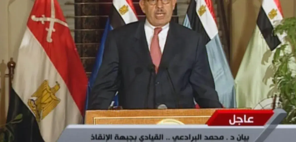Mohamed ElBaradei lors du renversement de Mohamed Morsi... (DR)