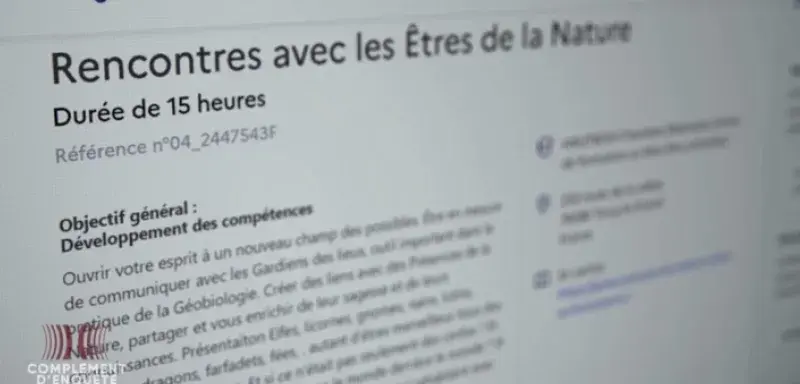 Formation elfes et gnomes France Travail