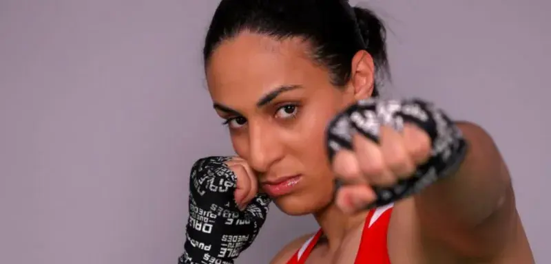 Lycée Arnaud Beltrame de Meyzieu où une salle doit être baptisée du nom d'Imane Khelif