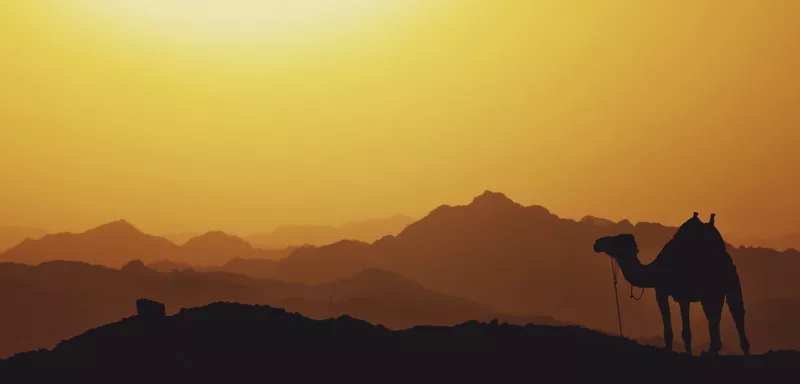 Egypte : les touristes se font rares avec l'épidémie. Le pays n'est pas inscrit dans la liste des pays sûr de l'UE Egypte : les touristes se font rares avec l'épidémie. Le pays n'est pas inscrit dans la liste des pays sûr de l'UE