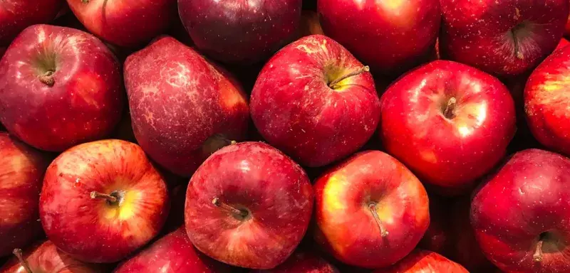 Pommes rouges fraîches exposées sur un étal