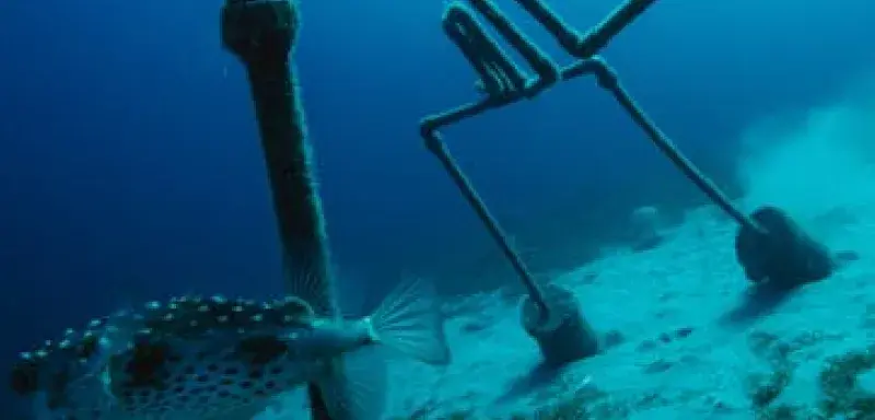Câble sous-marin à fibre optique en mer, infrastructure numérique stratégique
