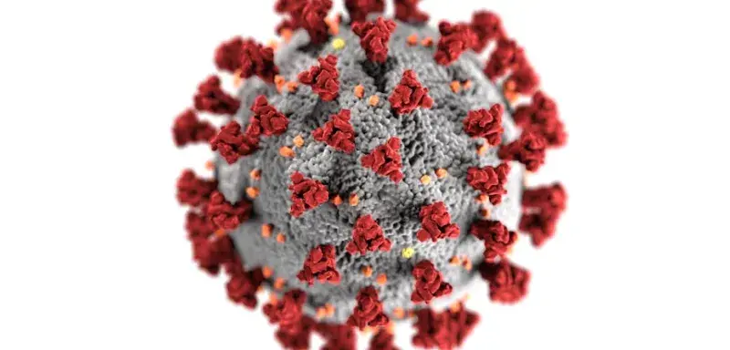 Detailed 3D representation of the coronavirus structure highlighting spike proteins.