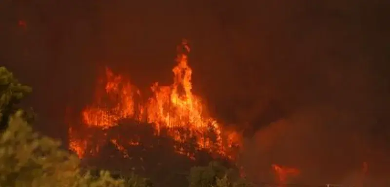 A dramatic wildfire consuming a forest area with intense flames and heavy smoke.