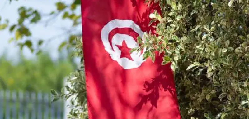 Tunisian flag hangs outdoors in a lush garden, capturing vibrant patriotism.