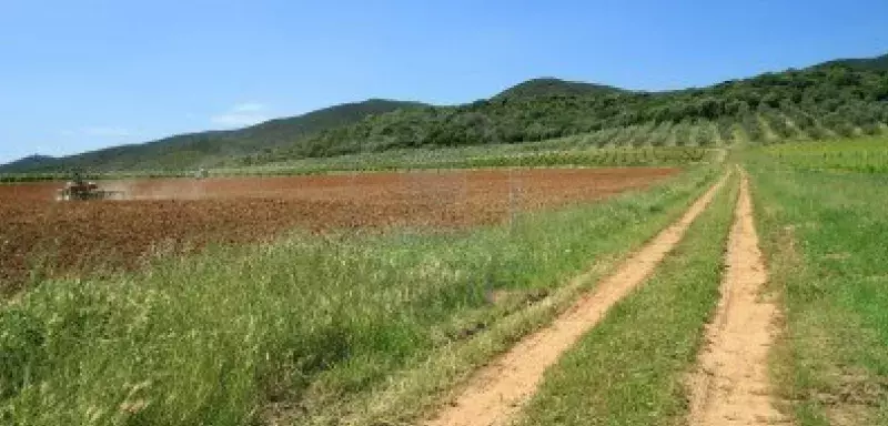 La représentation de la Commission européenne à Rome a souligné que c'était aux «pays membres d'empêcher et de gérer les illégalités et de récupérer les aides indûment perçues»... (DR)