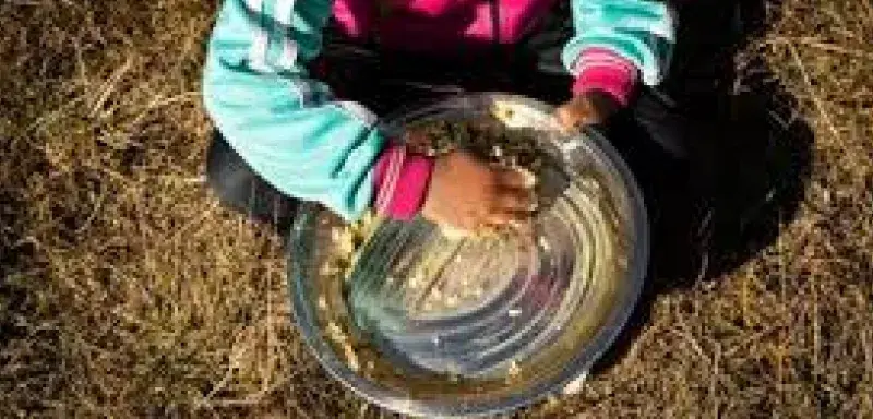 Affamer les plus vulnérables : l’asphyxie du Programme alimentaire mondial est un crime planétaire