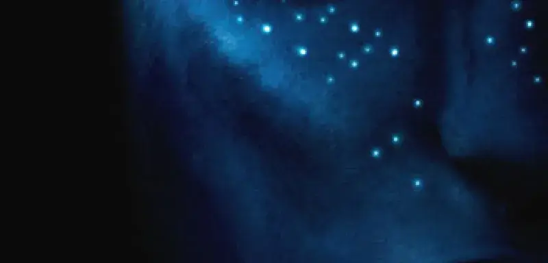 avatar.jpg