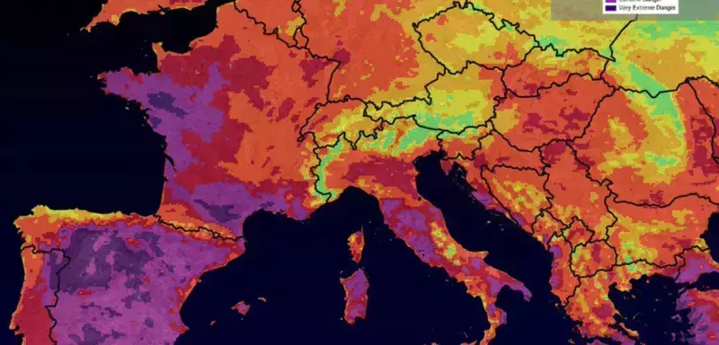 Climat : l’Europe brûle et se noie, l’alerte ultime de Copernicus