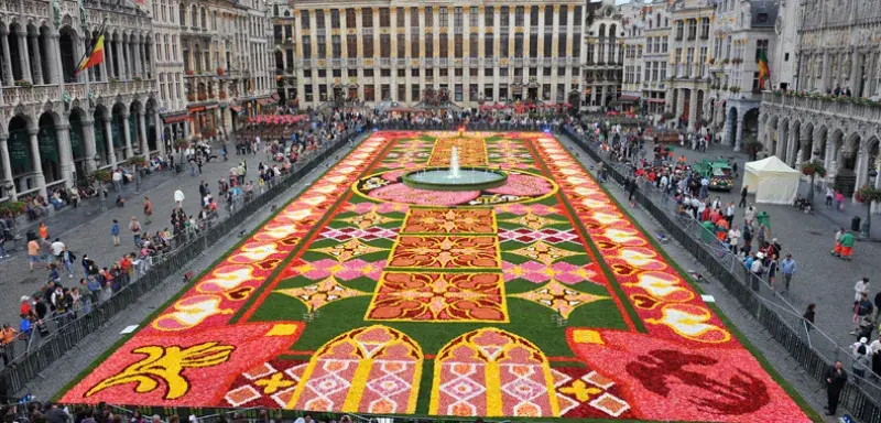 fleurbelge.jpg fleurbelge.jpg