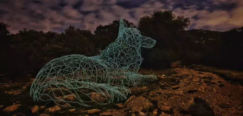 (© David Parenteau) (© David Parenteau)