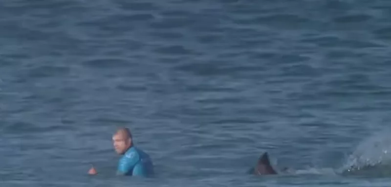 Pas une égratignure pour Mike Fanning, mais un bras amputé pour Rodolphe à la Réunion, l'expert Nicolas Ziani fait le point. (Capture d'écran World Surf League/YouTube) L