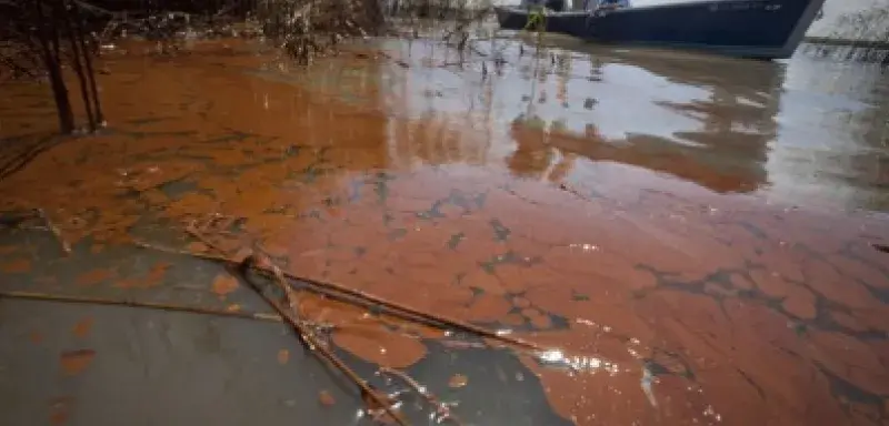 obamafuitepetrole.jpg obamafuitepetrole.jpg