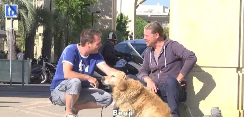 Rémi Gaillard a distribué des liasses de 500 euros dans les rues de Montpellier.  Rémi Gaillard a distribué des liasses de 500 euros dans les rues de Montpellier.