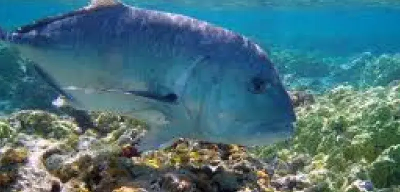 papahanaumokuakea.jpg papahanaumokuakea.jpg