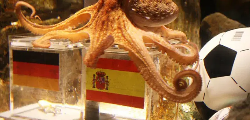 paulepoulpe.jpg paulepoulpe.jpg