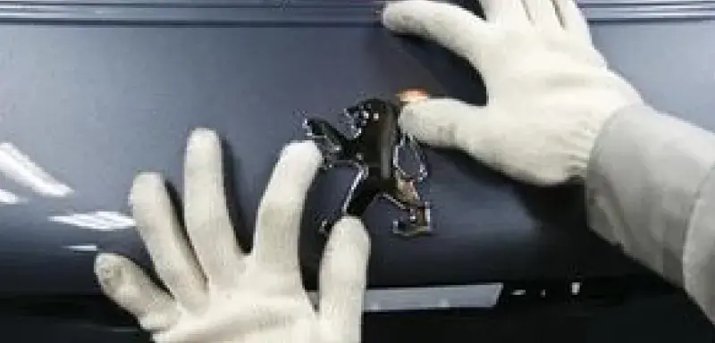 peaugeot_chine.jpg peaugeot_chine.jpg