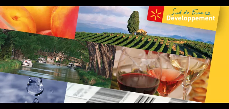 Avec la marque Sud De France, les vins du Languedoc-Roussillon sont le 1er vignoble représenté dans les linéaires de la grande distribution française. (© Sud de France)  Avec la marque Sud De France, les vins du Languedoc-Roussillon sont le 1er vignoble représenté dans les linéaires de la grande distribution française. (© Sud de France)