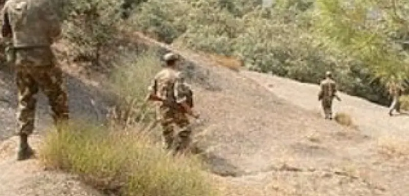 tu.jpg